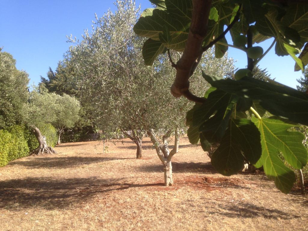 Trullo Picchiagiuda Villa Ostuni Exteriör bild