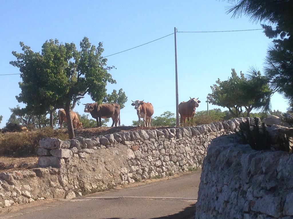 Trullo Picchiagiuda Villa Ostuni Exteriör bild