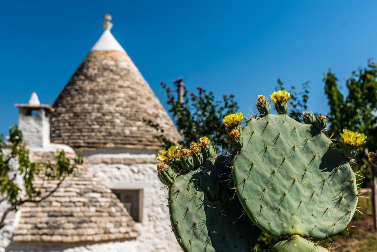 Trullo Picchiagiuda Villa Ostuni Exteriör bild